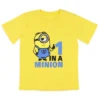 Despicable Me Boys' Movie Minions 1 In A Minion Sleep Pajama Set Shorts Multicolored